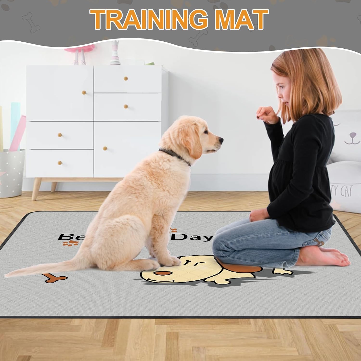 Pet Essentials