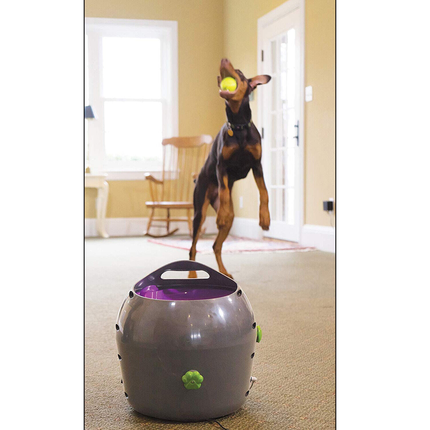 Petsafe Automatic Ball Launcher - Dog Outdoor Tennis Ball Thrower Pty19-15850